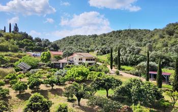 featured property